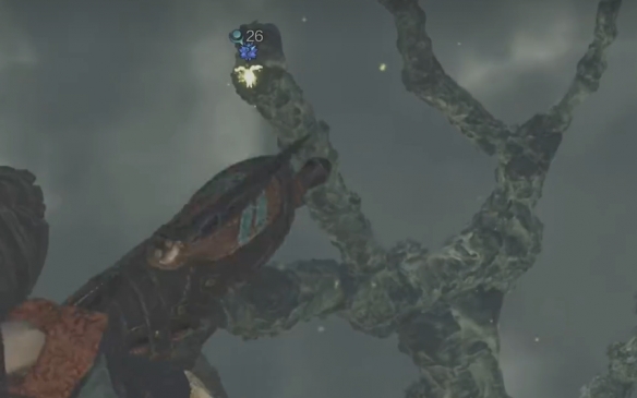 怪物猎人荒野营地在哪-怪物猎人荒野营地位置攻略 怪物猎人荒野营地在哪-怪物猎人荒野营地位置攻略