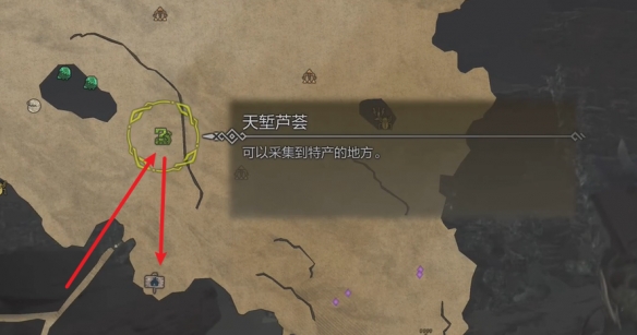 怪物猎人荒野营地在哪-怪物猎人荒野营地位置攻略 怪物猎人荒野营地在哪-怪物猎人荒野营地位置攻略